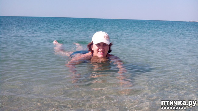 ���� 8: �� ���� �� �������