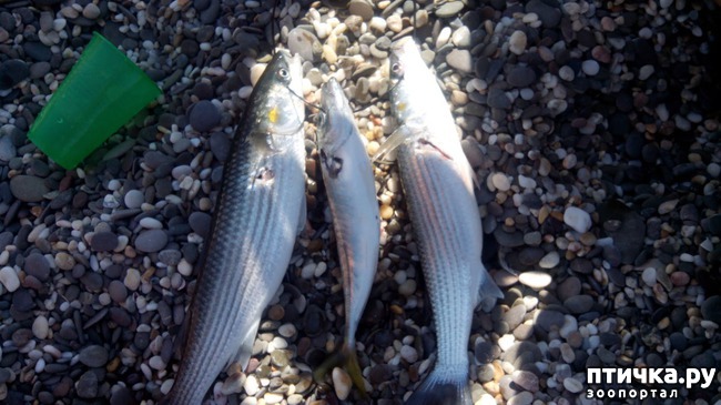 ���� 9: �� ���� �� �������