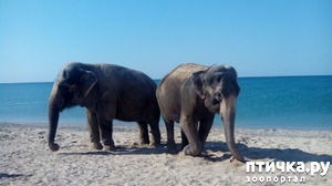 ����: �� ���� �� �������