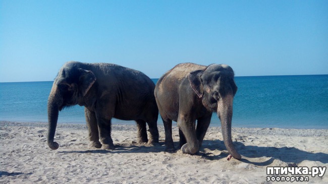 ���� 1: �� ���� �� �������