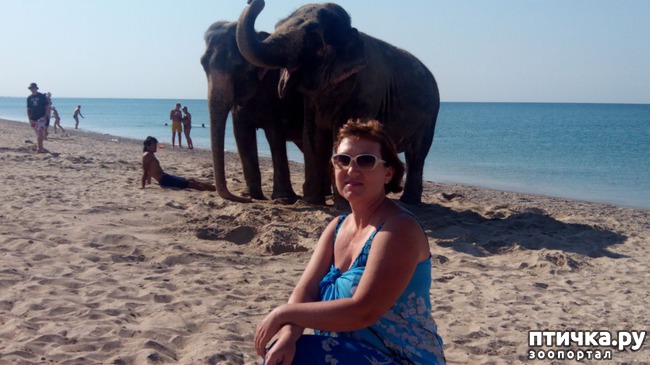 ���� 3: �� ���� �� �������