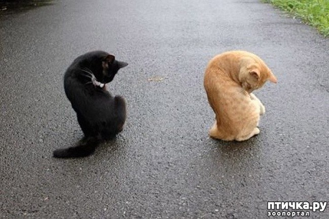 ���� 5: ���������� �����������