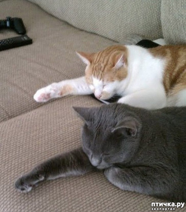 ���� 16: ���������� �����������