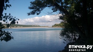 ����: ��� � ���� ���������������