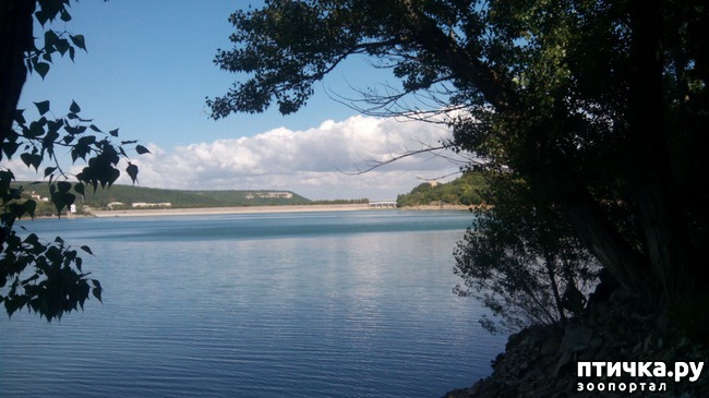 ���� 1: ��� � ���� ���������������