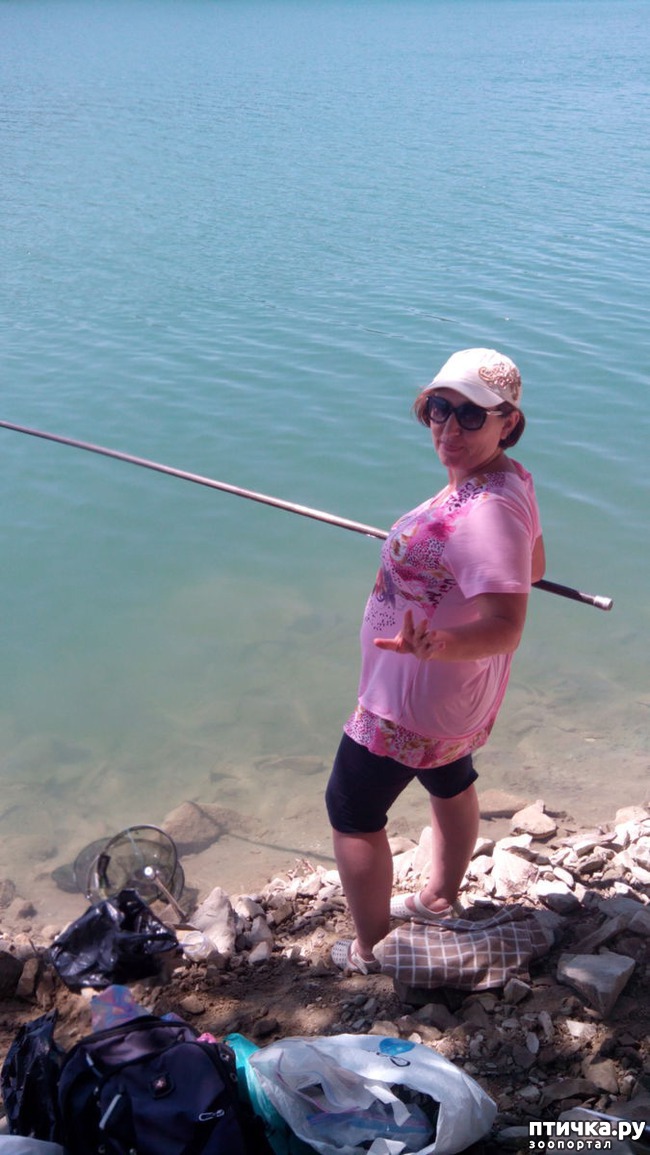 ���� 2: ��� � ���� ���������������