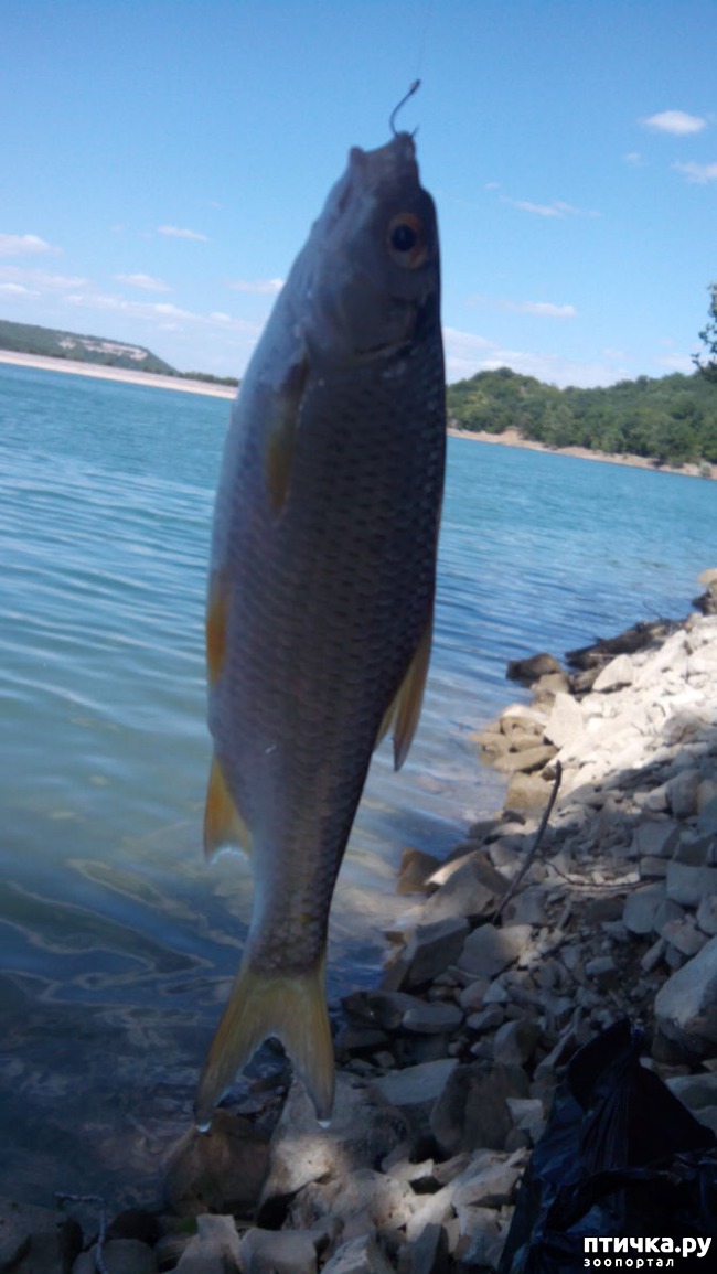 ���� 3: ��� � ���� ���������������