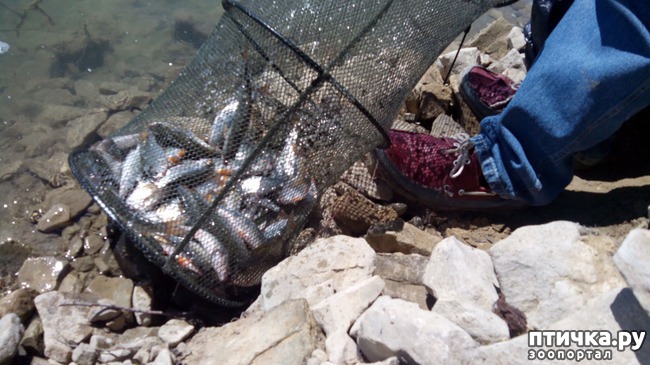 ���� 5: ��� � ���� ���������������