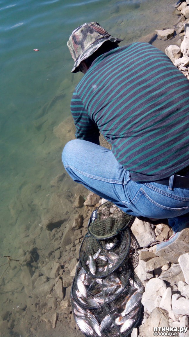 ���� 6: ��� � ���� ���������������