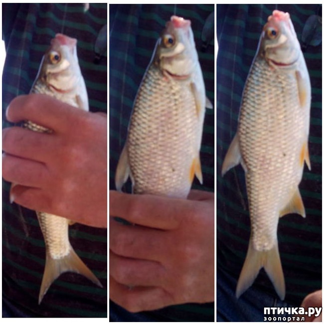 ���� 4: ��� � ���� ���������������