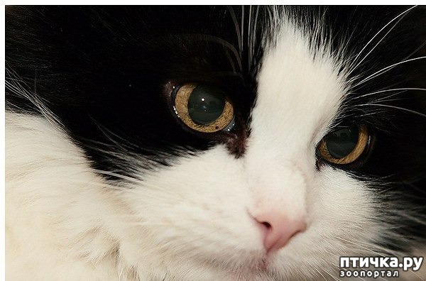 ���� 1: ��������