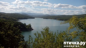 ����: ������� �� �����