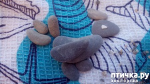 ����: �� ����