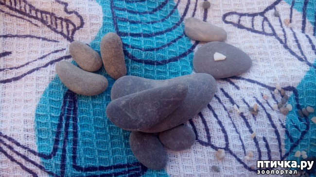 ���� 1: �� ����