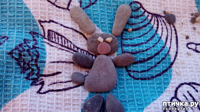 ���� 2: �� ����