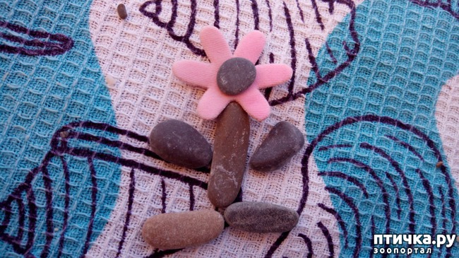 ���� 3: �� ����