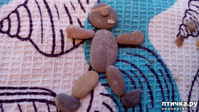 ���� 4: �� ����