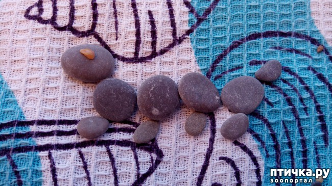 ���� 5: �� ����