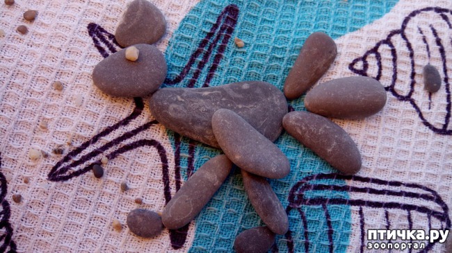 ���� 6: �� ����