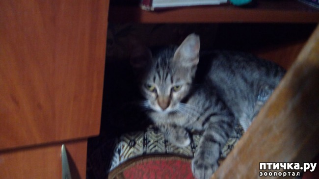 ���� 6: ������������ ����