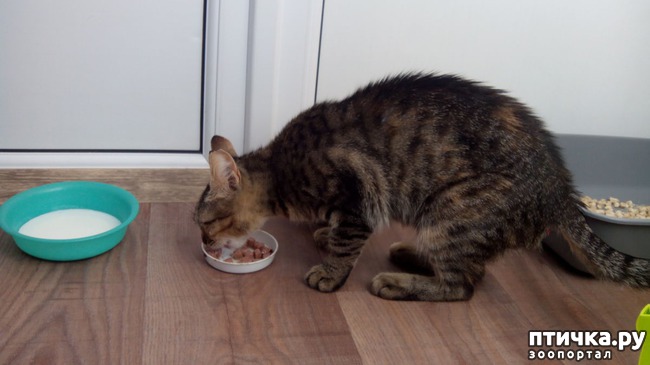 ���� 7: ������������ ����