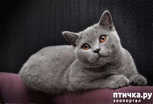 ����: �������� ���������� �����. (������� ������ �� ����������)