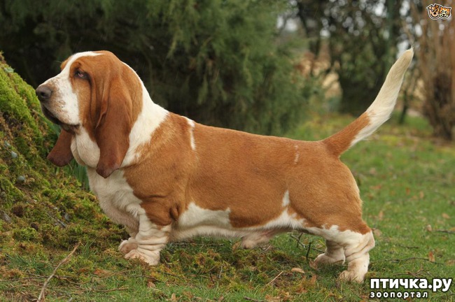 ���� 1: ����� ��� �����