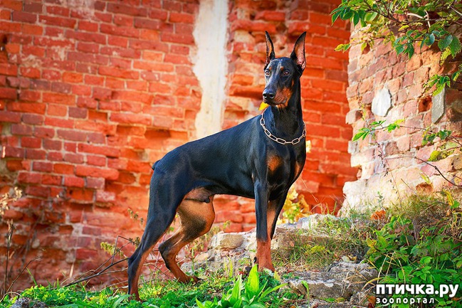 ���� 2: ����� ��� �����