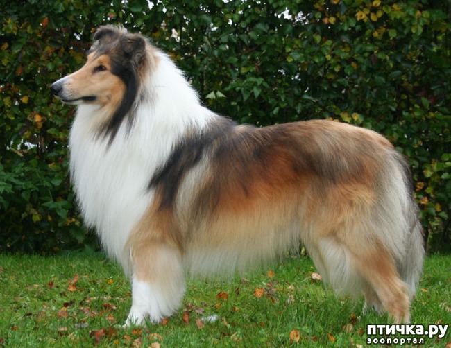 ���� 3: ����� ��� �����