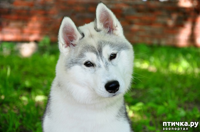 ���� 4: ����� ��� �����