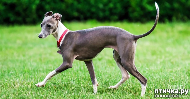 ���� 5: ����� ��� �����