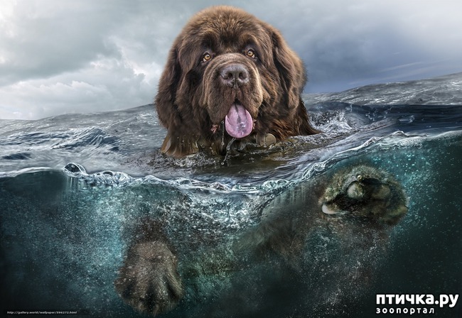 ���� 6: ����� ��� �����