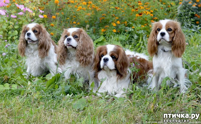 ���� 7: ����� ��� �����