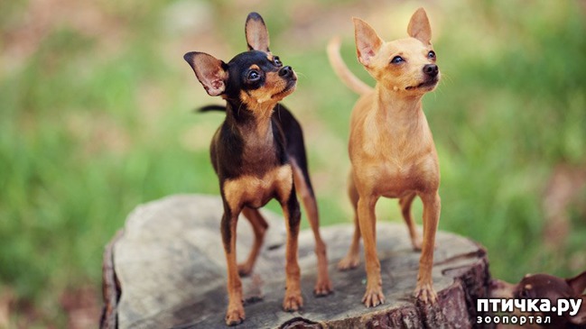 ���� 8: ����� ��� �����