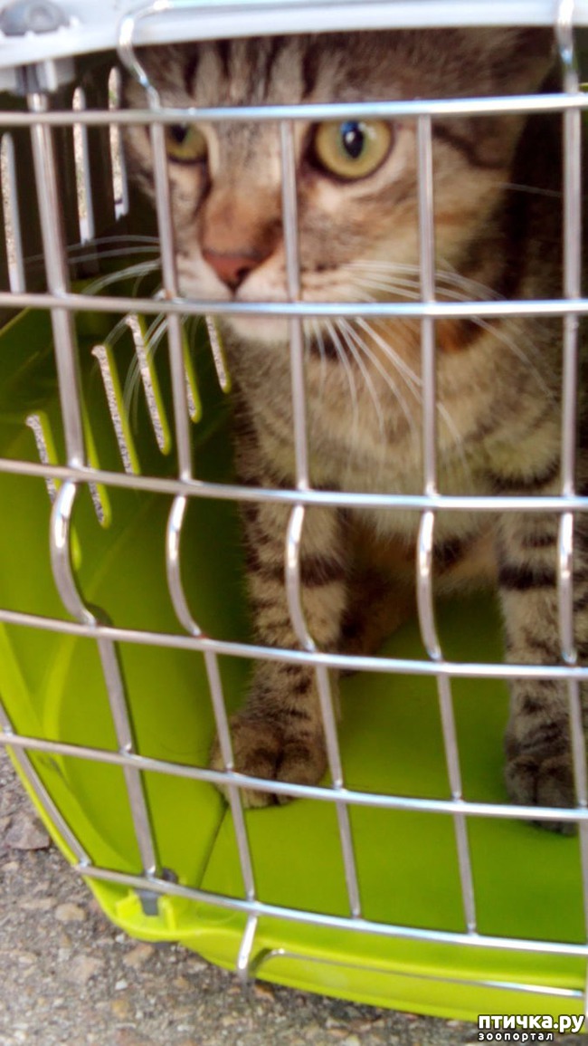 ���� 2: ������������ ����