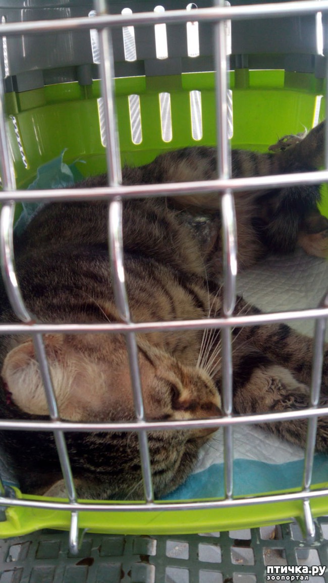 ���� 3: ������������ ����