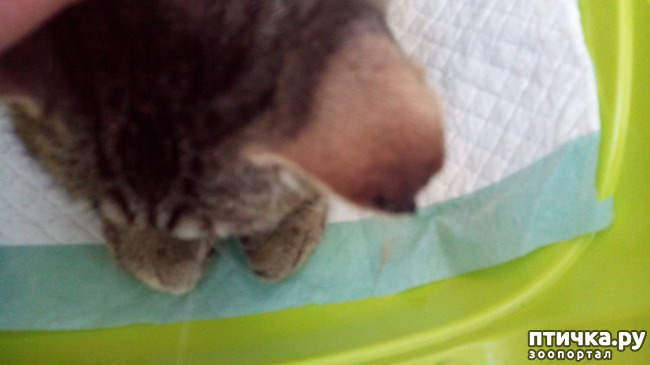 ���� 4: ������������ ����