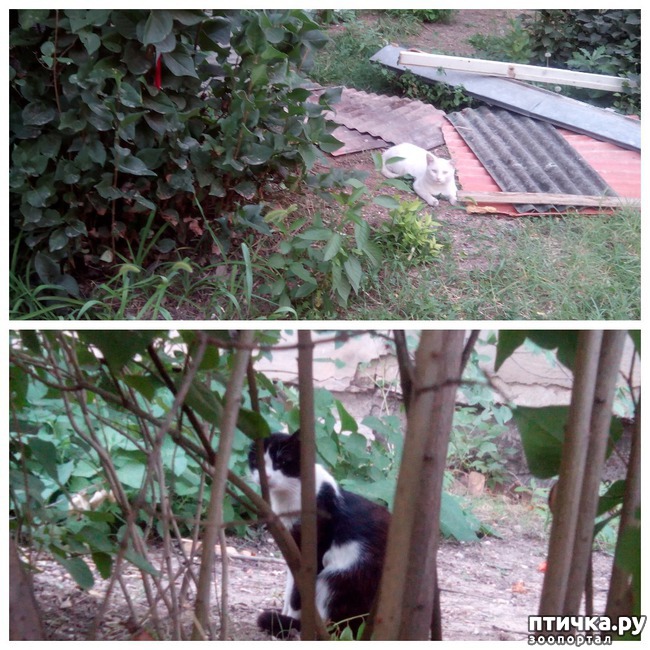 ���� 5: ����������� - �����