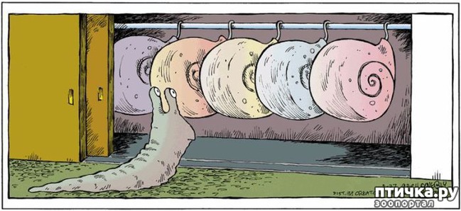 ���� 3: �������� ������ �������������� ��������