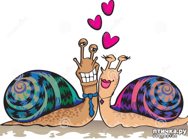 ���� 4: �������� ������ �������������� ��������