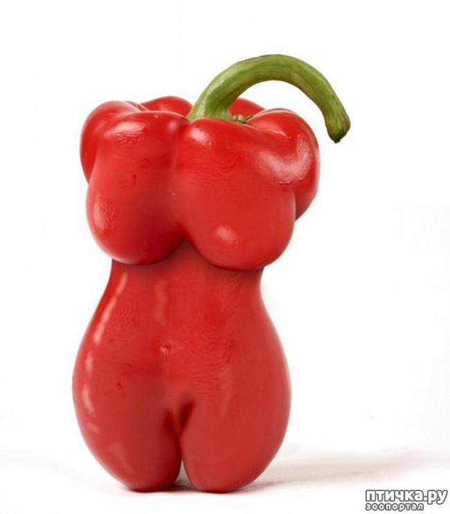 ���� 5: �������� ������ �������������� ��������