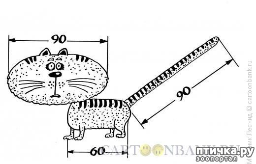 ���� 6: �������� ������ �������������� ��������