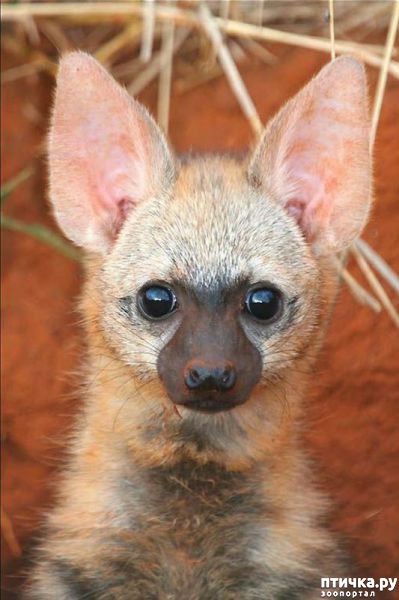 ���� 8: �������� ������ �������������� ��������