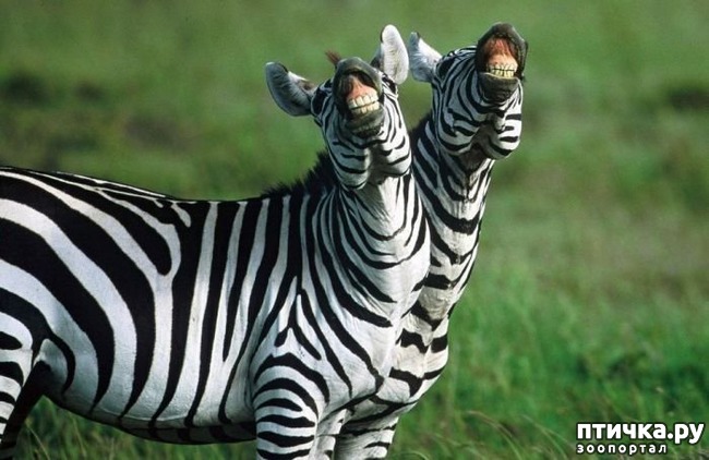 ���� 9: �������� ������ �������������� ��������