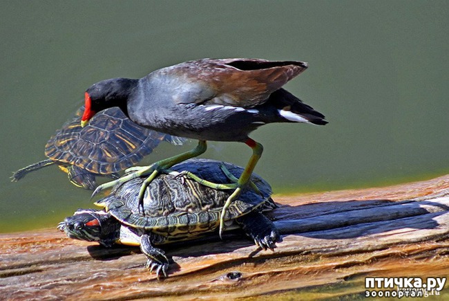 ���� 10: �������� ������ �������������� ��������