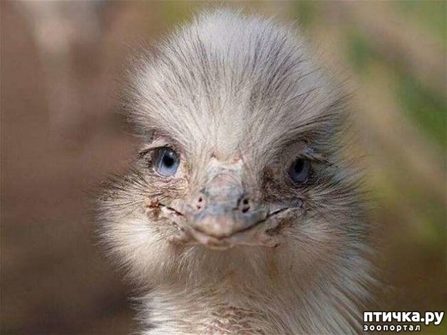 ���� 11: �������� ������ �������������� ��������