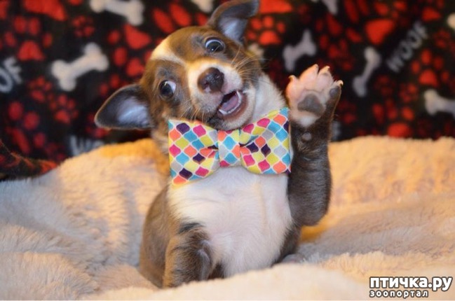 ���� 12: �������� ������ �������������� ��������