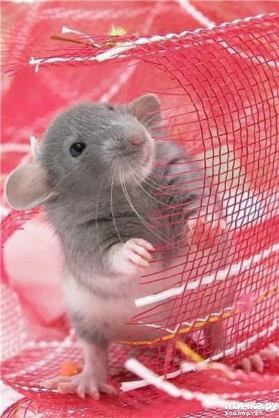 ���� 14: �������� ������ �������������� ��������