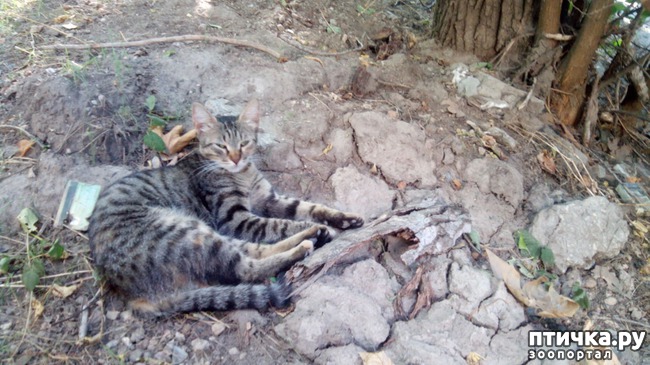 ���� 2: ����������� - �����