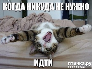 ����: �����������: ��������.